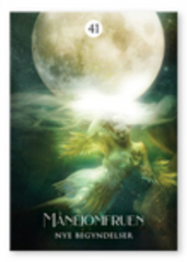 Baron-Reid Colette: SHAMANENS DRØMM