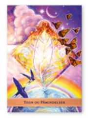 Gray Kyle: DIN ENGLE GUIDE ORAKEL