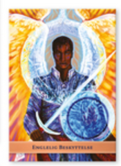 Gray Kyle: DIN ENGLE GUIDE ORAKEL