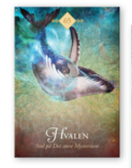 Baron-Reid Colette: KRAFTDYR ORAKEL