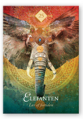 Baron-Reid Colette: KRAFTDYR ORAKEL