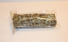 MUGWORT BLACK SAGE- 10 CM