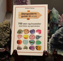 BOG • STENGUIDEN - ANDERS FUTTRUP