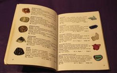 BOG • STENGUIDEN - ANDERS FUTTRUP