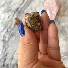 Jaspis leopardit onkalith - 2-3 cm