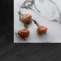 Mosagat Pink - 2-3 cm