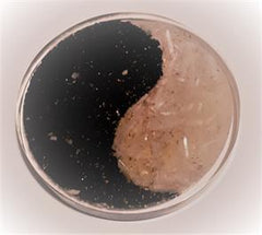 ORGONIT - YIN YANG PLADE - 9 CM.