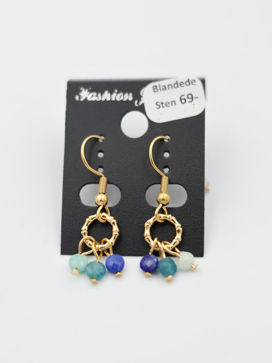 Øreringe med blandede sten