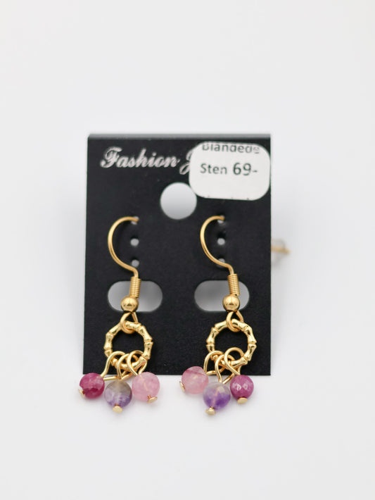 Øreringe med blandede sten