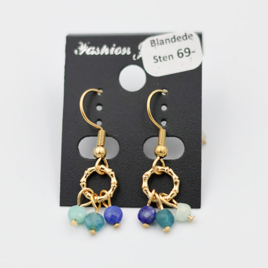 Øreringe med blandede sten