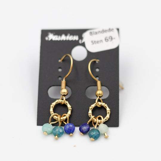 Øreringe med blandede sten