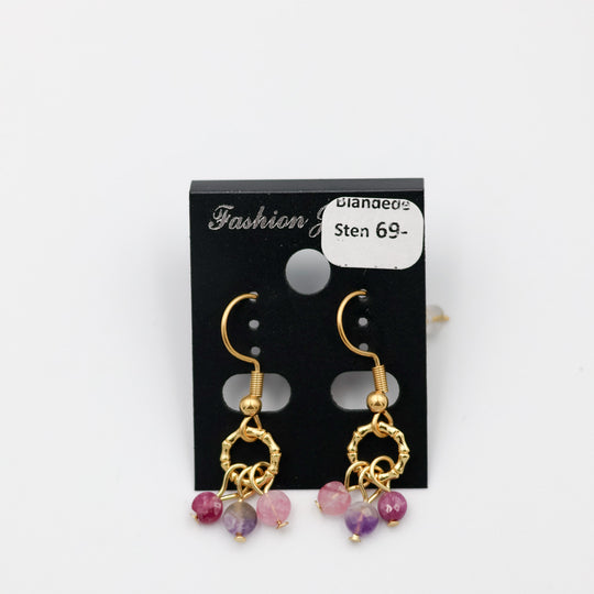 Øreringe med blandede sten