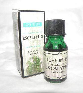 DUFT OLIE - EUCALYPTUS